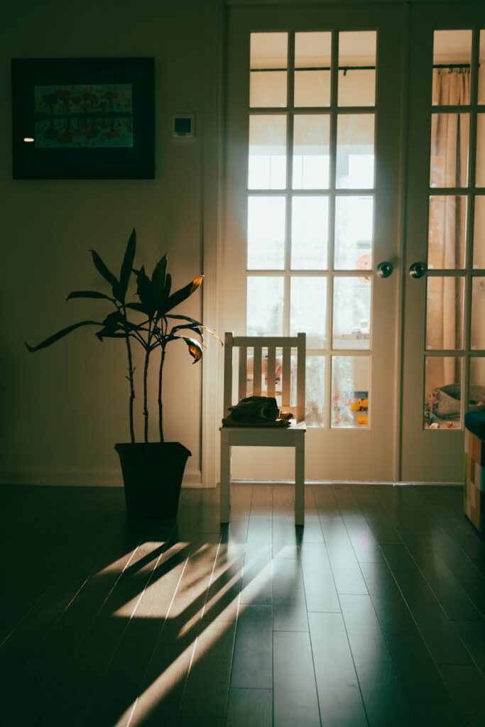 a cat sitting on a bench in front of a door